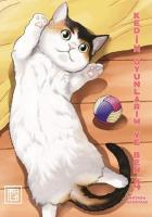 Kedim Oyunlarım ve Ben - Cilt 4 Kedim Oyunlarım ve Ben - Cilt 4