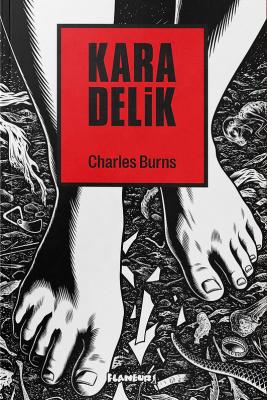 Kara Delik (2. Baskı) Charles Burns